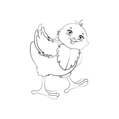 Chick bird cute animal vector illustration outline