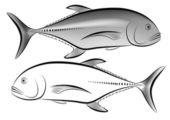 Image of a Caranx ignobilis in black and white and gray
