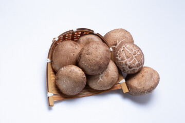 Fresh shiitake mushroom on white background