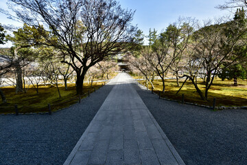 南禅寺の桜と本堂