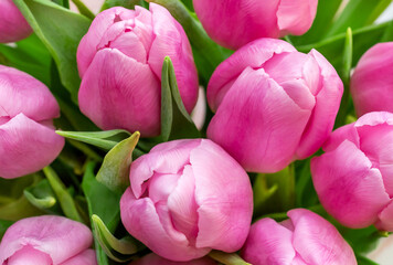 Fototapeta premium Bouquet of pink tulips. Close up. Natural background.