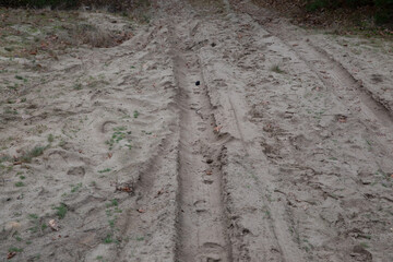 Dirty sandy road with car tracks