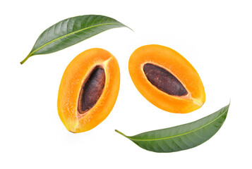 Marian plum fruit with leaves isolated on white background. Top view