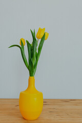 Bright fresh yellow tulips on white background. Bunch of tulips in yellow vase on wooden table.