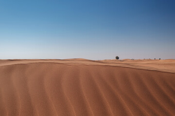 Fototapeta na wymiar Sunset over the sand dunes in the desert.