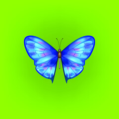 Butterfly on a green background. Realistic vector image