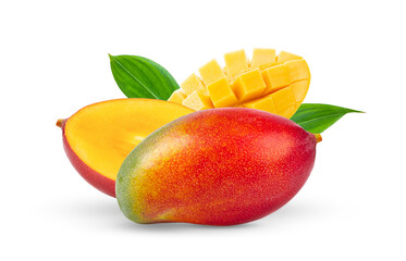 Mango fruit isolated