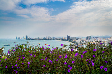View of Pattaya viewpoint from Pratumnak Hill. Pattaya city skyline in Chonburi Thailand