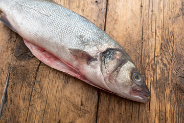 Sea bass with white background