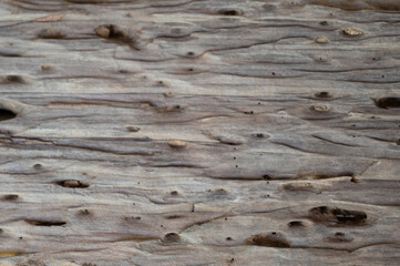 Naklejka na ściany i meble Surface eroded by time,Old wood background.