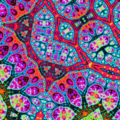 Colourful Fractal Zoom Psychedelic Fractal Art
