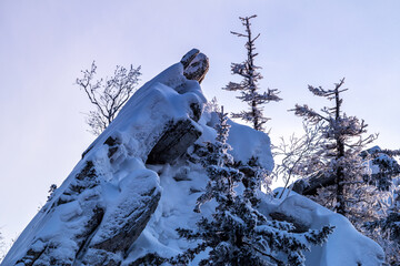 Snow covered rock in the winter forest in the evening light
