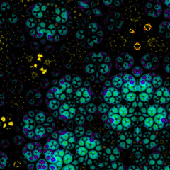 Colourful Fractal Zoom Psychedelic Fractal Art