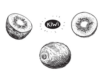 Hand drawn sketch black and white kiwi fruit, slice. Vector illustration. Elements in graphic style label, card, sticker, menu, package. Engraved style illustration. - obrazy, fototapety, plakaty