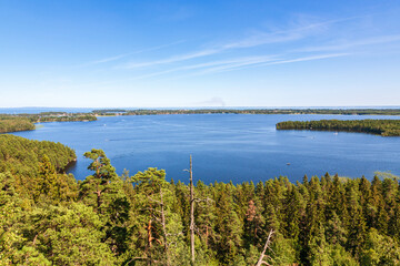 Lake landscape with a coniferous forest in the foreground