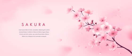Banner design template. Vector illustration of realistic blossoming sakura flowers on pink watercolor background © AM_art