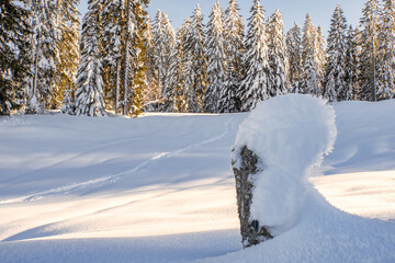 cloture recouverte de neige