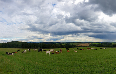 scenic panorama view of natural landscape under a cloudy sky