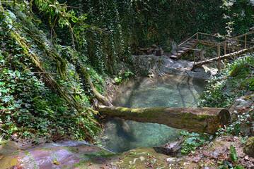 Waterfall in forest of cascade of 33 waterfalls in Lazarevsky district of Sochi city, Dzhegosh...