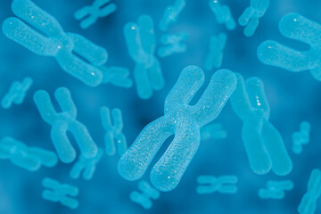 3D Rendering Chromosome Intracellular view
