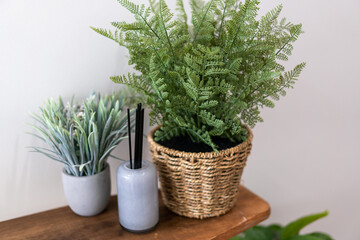 Green indoor plants in plant pot baskets sitting on a side table indoors 