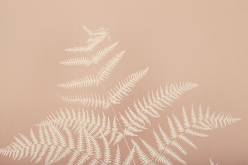 Floral composition of branch fern on beige background. Botany styled. Art concept. Minimal concept background.