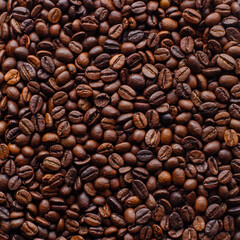 Roasted coffee beans background. Top view, square