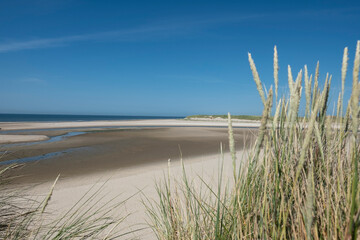 Fototapeta na wymiar Texel beach sea north sea