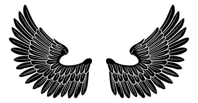 Pair of Angel or Eagle Bird Wings