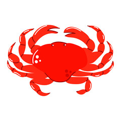 Hand drawn crab. Flat vector illustration.