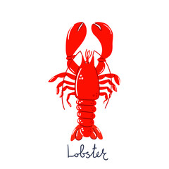Hand drawn lobster, underwater concept. Modern flat illustration.