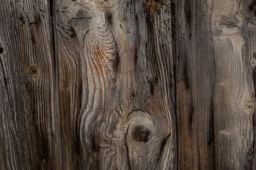 old wooden door with a nice texture