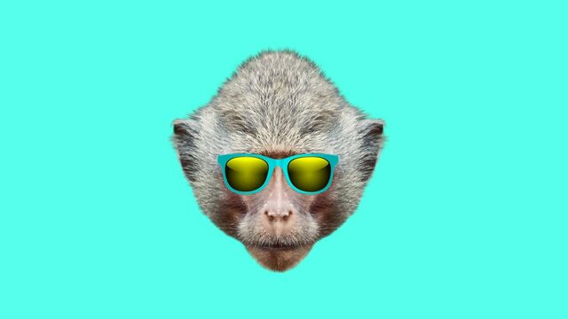 Monkey style wiggle moving color background. Abstract graphics in trendy colors and style. Seamless looped motion graphic animation.