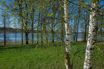 Fototapeta premium Calm lake in spring.