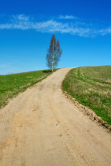 View to country road.