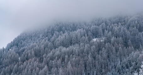 Fototapeta na wymiar winter day in the snowy Italian Alps
