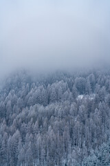winter day in the snowy Italian Alps