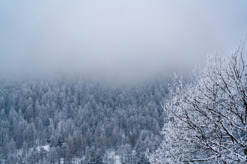 Obraz na płótnie Canvas winter day in the snowy Italian Alps