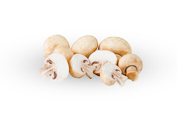 fresh champignon mushroom on white background,isolated