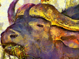 Wild buffalo head Illustrations creates an impressionist style of painting.