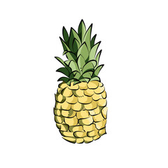 Colored pineapple clipatre on a white background.