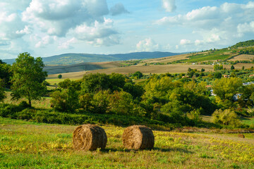 landscape with bales in Tuscany