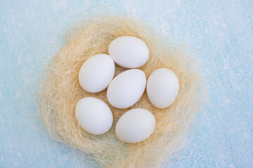 eggs on light blue background
