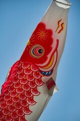 鯉のぼり