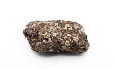 mineralogical and petrological investigations, a sedimentary rock, specifically a conglomerate