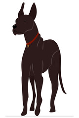 Dog stands in an angle. Big beautiful dog with raised ears and red collar. Vector, isolated on white, style flat.
