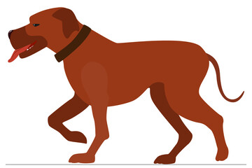 Big dog for protection and protection. Pet in collar. Vector, isolated on white, style flat.