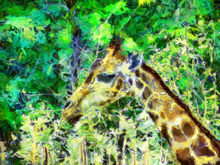 Giraffe head Illustrations creates an impressionist style of painting.