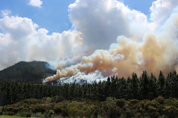 Tsitsikamma national park during the period of huge fire, famous suspension bridge in South Africa