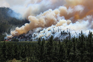 Tsitsikamma national park during the period of huge fire, famous suspension bridge in South Africa